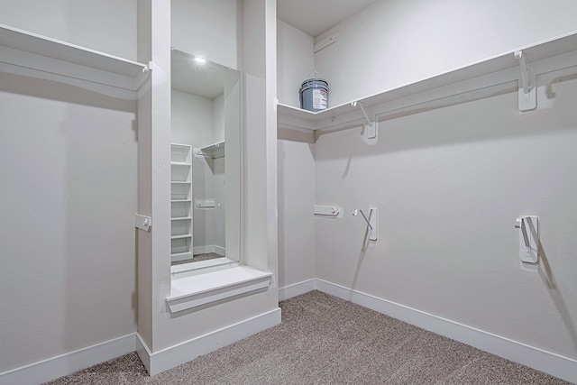 141 Peninsula Point Dr, Montgomery, TX 77356 - spacious closet with carpet
