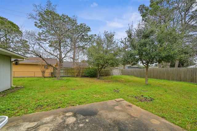 view of yard with a patio and a fenced backyard