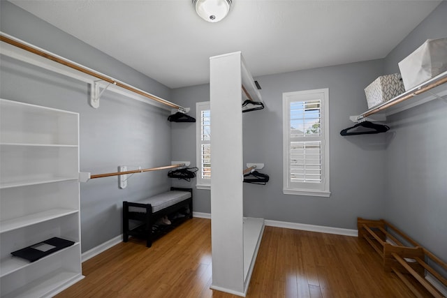 spacious closet with hardwood / wood-style flooring
