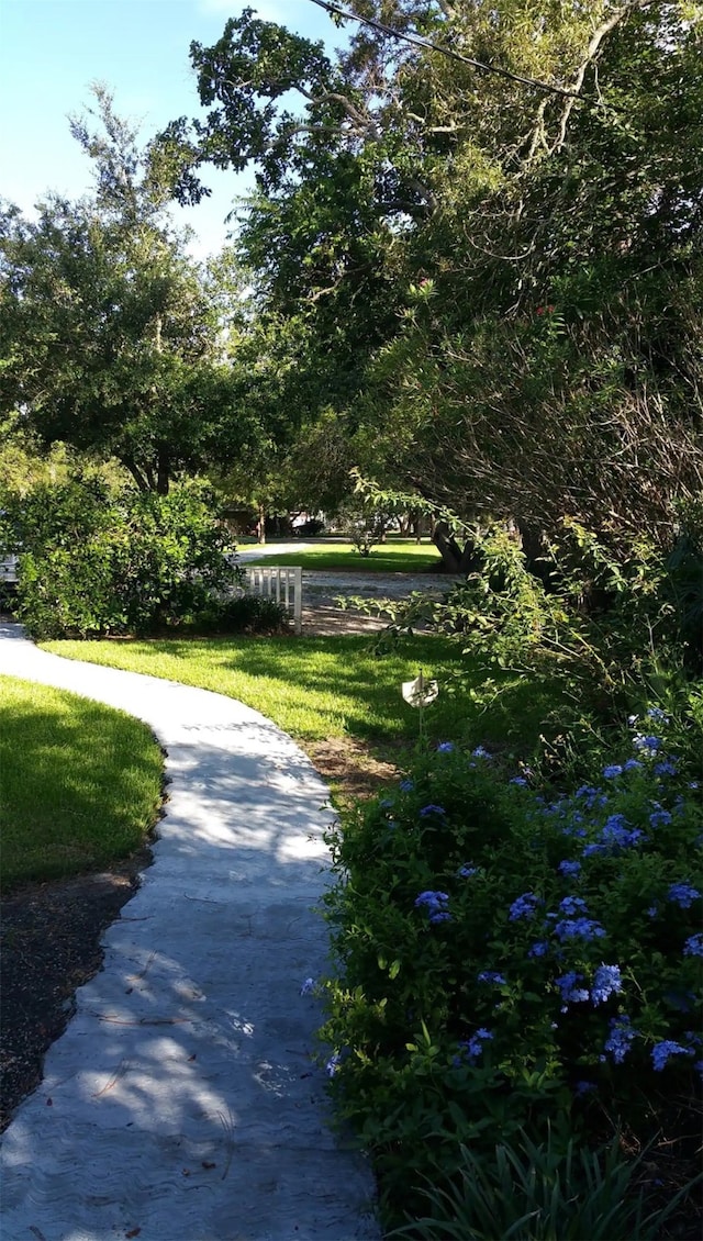 view of property's community with a lawn