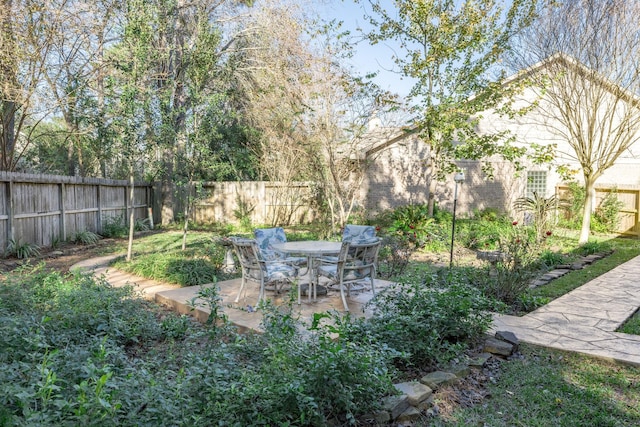 view of yard featuring a patio area and a fenced backyard