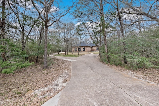 view of road featuring aphalt driveway