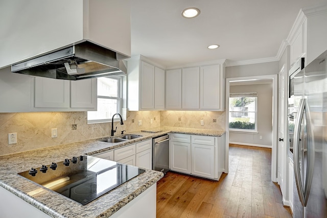 kitchen with crown molding, stainless steel appliances, a sink, plenty of natural light, and extractor fan