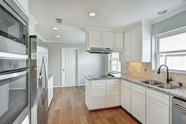 kitchen featuring crown molding, stainless steel appliances, tasteful backsplash, a sink, and under cabinet range hood