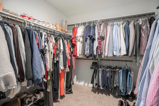 spacious closet featuring carpet floors