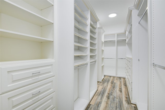 spacious closet featuring light wood-style flooring