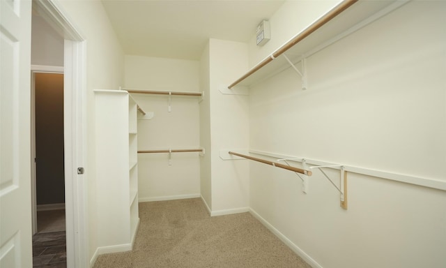 spacious closet with carpet floors