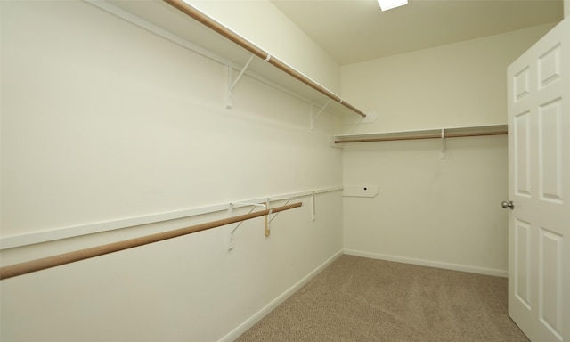 spacious closet with carpet