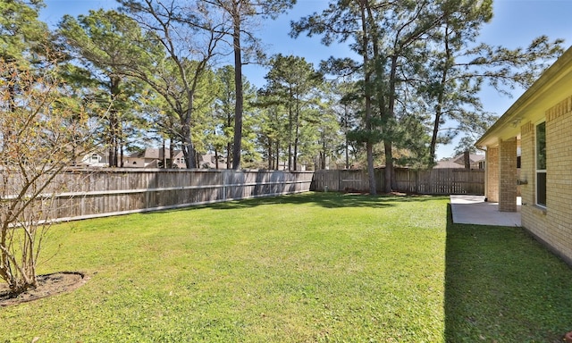 view of yard with a patio and a fenced backyard