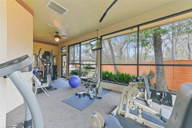 workout area with ceiling fan, a sunroom, carpet, and visible vents