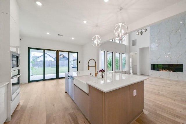 kitchen featuring light wood finished floors, stainless steel appliances, a sink, and a high end fireplace