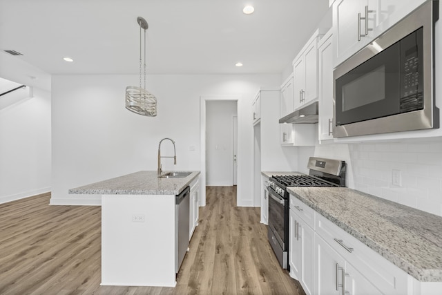 kitchen with under cabinet range hood, a sink, light wood-style floors, stainless steel appliances, and tasteful backsplash