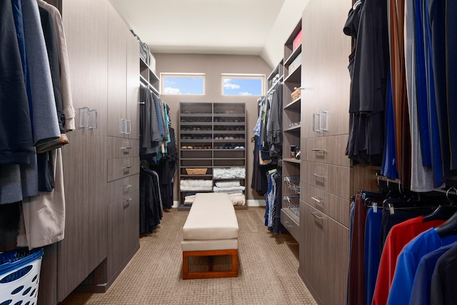 walk in closet with light colored carpet