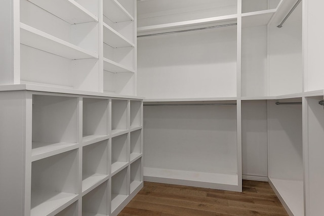 spacious closet featuring dark wood finished floors