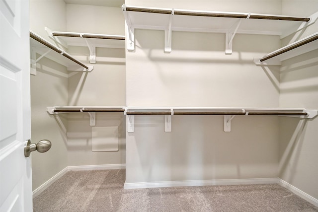 4215 Sternside Ln, Houston, TX 77053 - walk in closet featuring carpet