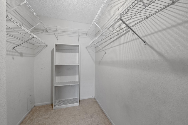 walk in closet featuring carpet