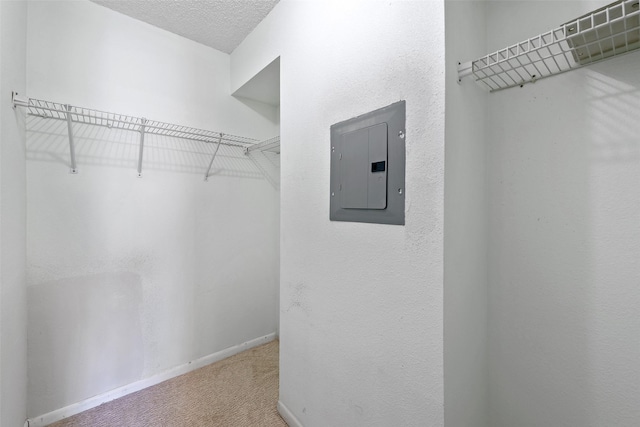 walk in closet with carpet and electric panel