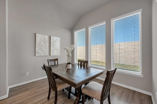 dining area with baseboards, wood finished floors, and a healthy amount of sunlight