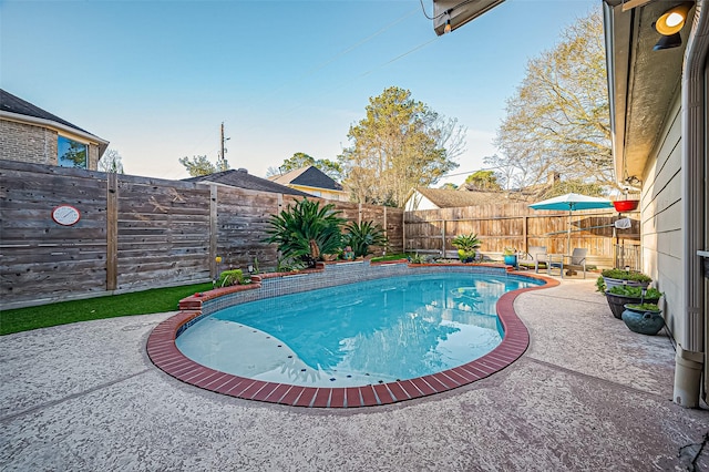 view of pool featuring a patio area, a fenced backyard, and a fenced in pool