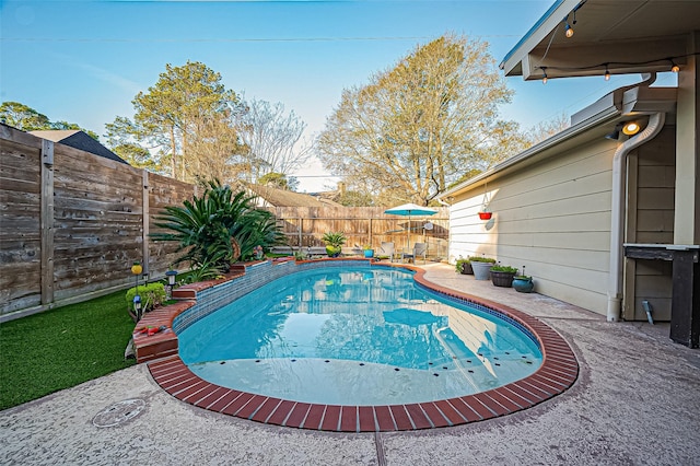 view of pool with a patio area, a fenced backyard, and a fenced in pool