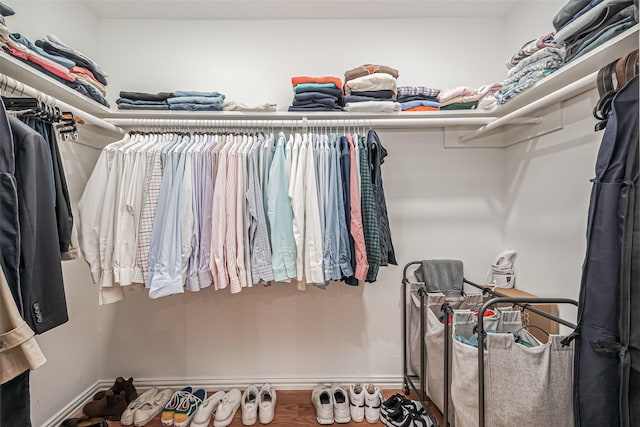 view of walk in closet