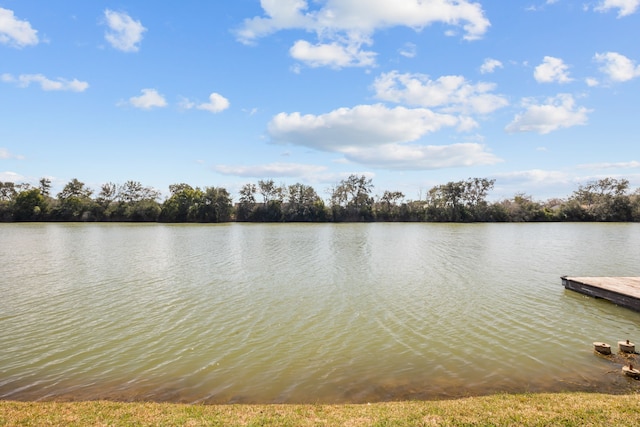 view of water feature featuring a floating dock