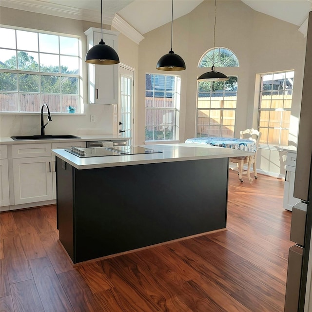 kitchen featuring a kitchen island, pendant lighting, lofted ceiling, wood finished floors, and a sink