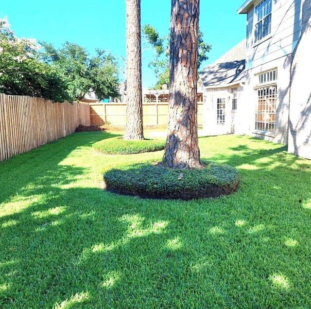 view of yard featuring a fenced backyard