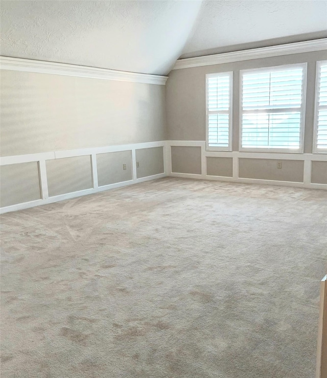 additional living space with a wainscoted wall, a textured ceiling, carpet, a decorative wall, and vaulted ceiling