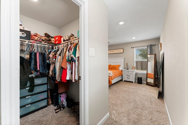 spacious closet featuring carpet flooring