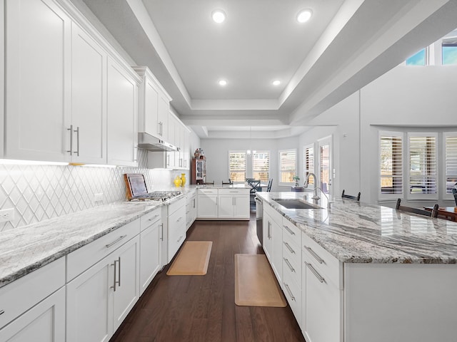 kitchen with a sink, under cabinet range hood, white cabinetry, a raised ceiling, and dark wood-style flooring