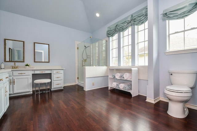 bathroom featuring a shower stall, toilet, lofted ceiling, wood finished floors, and vanity