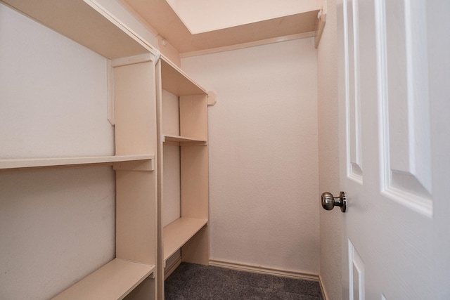 walk in closet featuring carpet