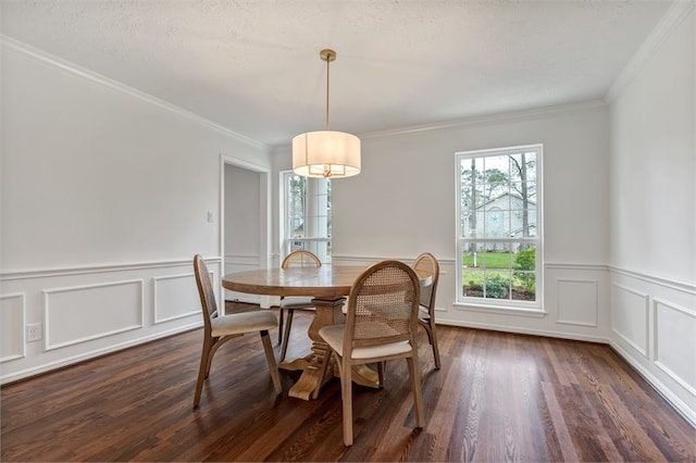 dining space with crown molding, dark wood-style floors, wainscoting, and a decorative wall
