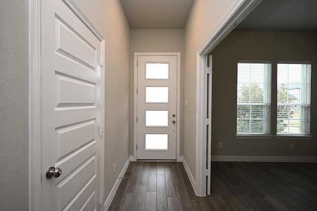 doorway to outside with baseboards and dark wood-type flooring