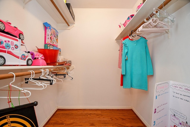 walk in closet featuring wood finished floors