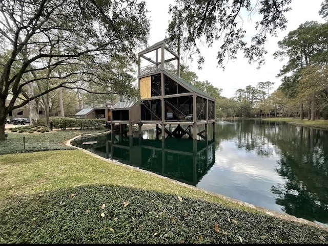 dock area with a water view