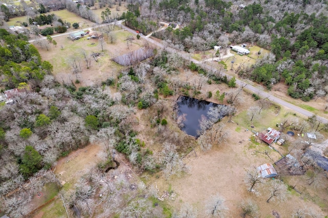 159 Echo Ln, Huntsville, TX 77320 - photo 12