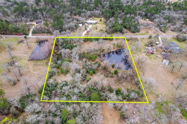 159 Echo Ln, Huntsville, TX 77320 - photo 14