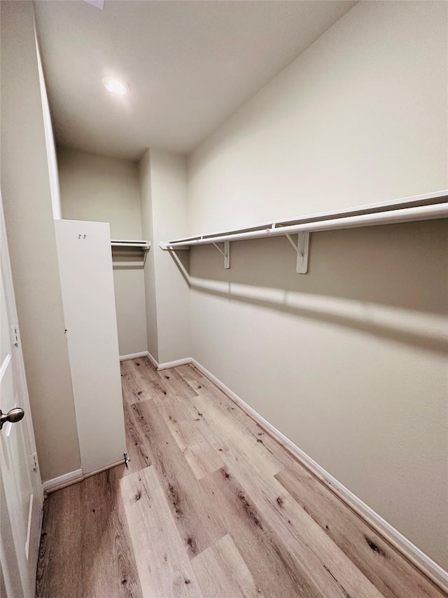 spacious closet featuring light wood finished floors