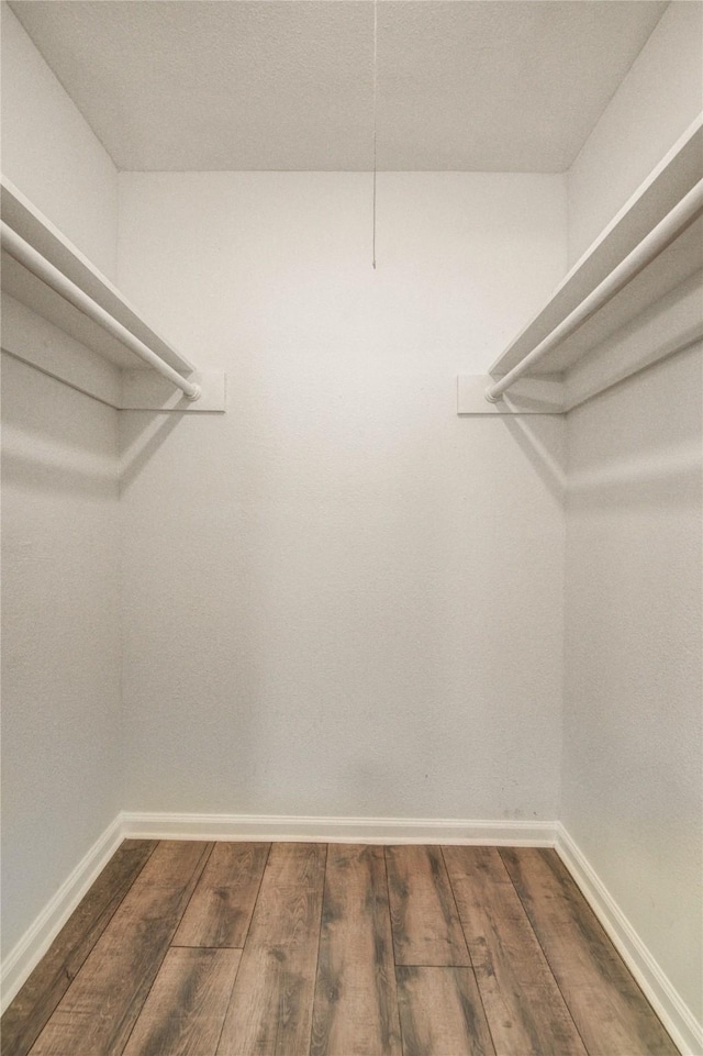 walk in closet with dark wood finished floors