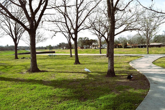 3725 Murworth Dr, Houston, TX 77025 - view of property's community featuring a yard