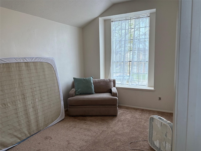 sitting room with vaulted ceiling, a textured ceiling, and carpet