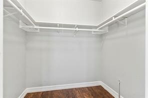 spacious closet featuring dark wood finished floors