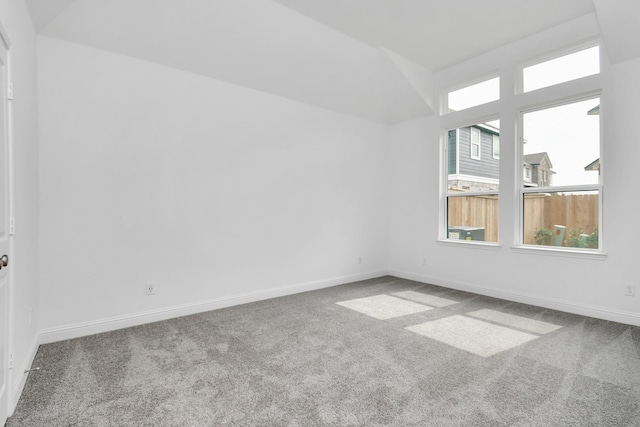 additional living space featuring carpet, plenty of natural light, and baseboards