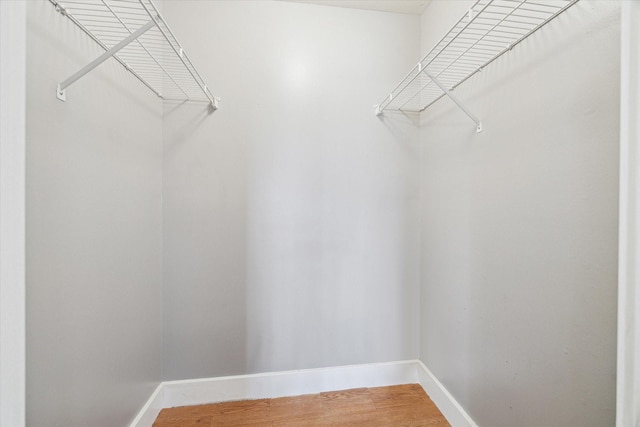 spacious closet featuring wood finished floors