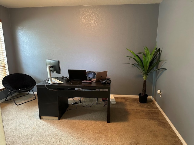 home office with a wealth of natural light, baseboards, and light colored carpet