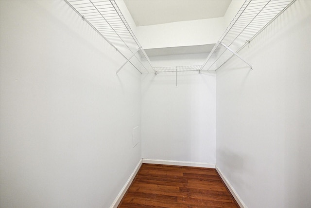 walk in closet featuring wood finished floors