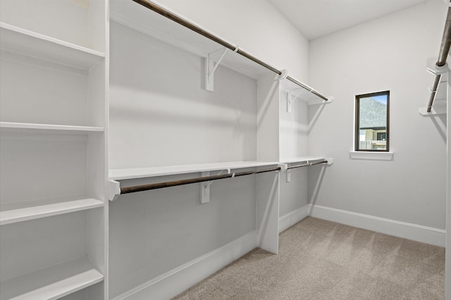 spacious closet with light colored carpet