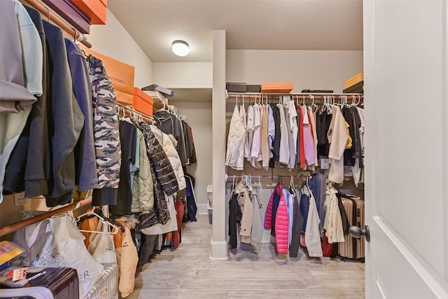 walk in closet featuring radiator and wood finished floors